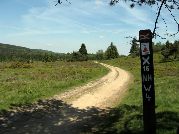 Wanderweg des Rothaarsteigs über die Hochheide mit Wegweiser